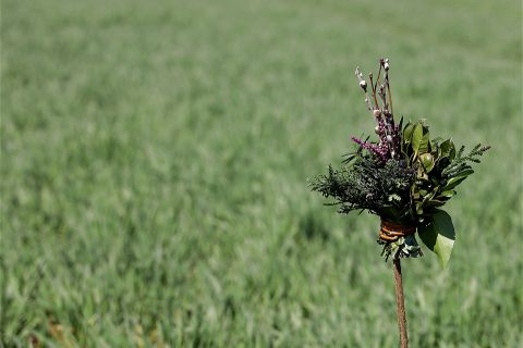 NIEDZIELA PALMOWA MĘKI PAŃSKIEJ - 13.04.2025 r. - Ogłoszenia Parafialne